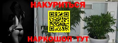 кокс Краснодар
