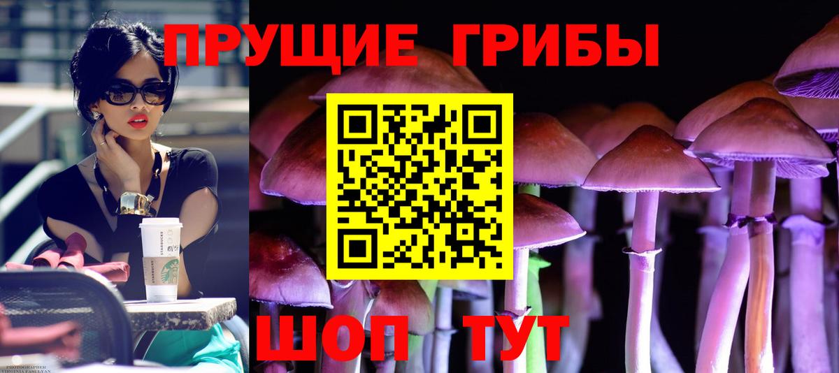 Ирбит  Псилоцибиновые грибы Psilocybe  Вход с VPN 
