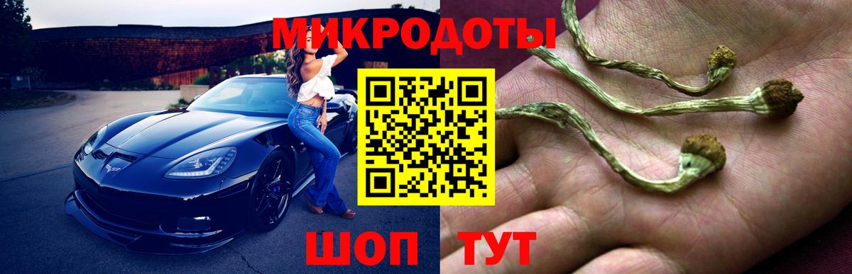 Псилоцибиновые грибы мицелий Ирбит